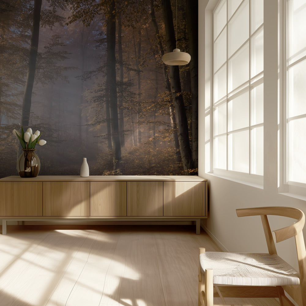 Verso la luce | Carta da Parati Fotografica