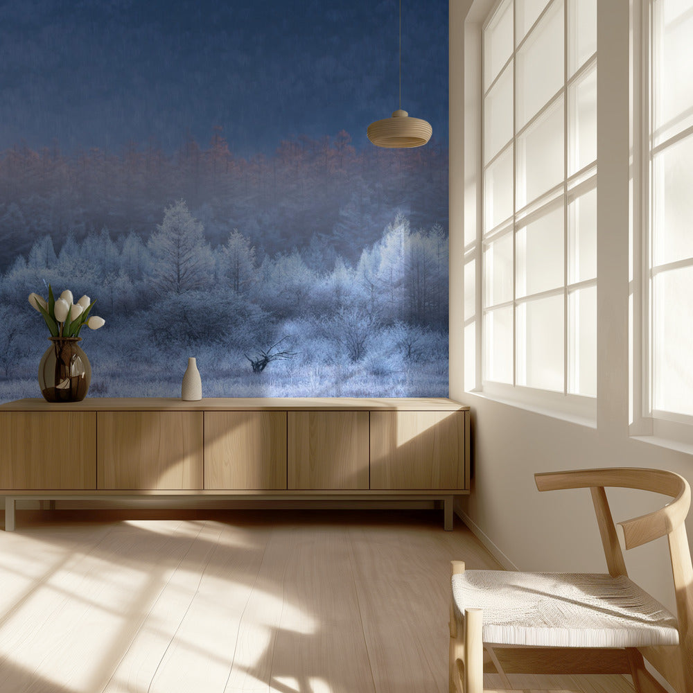 Syksyn ja talven liukuvärit | Valokuvatapetit