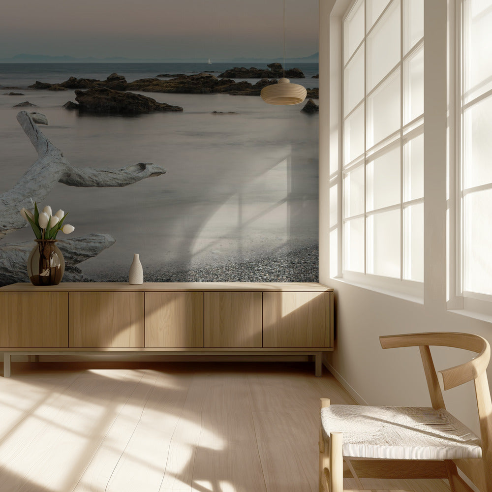 Puukalan ruho | Valokuvatapetit