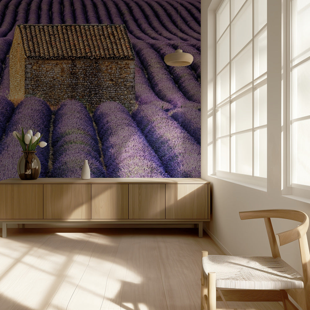 La choza Papel Pintado Fotográfico