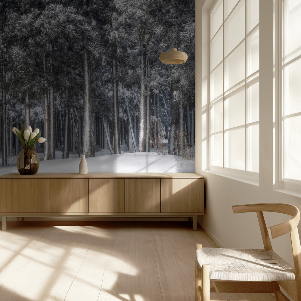 Un posto in un mondo d'argento | Carta da Parati Fotografica