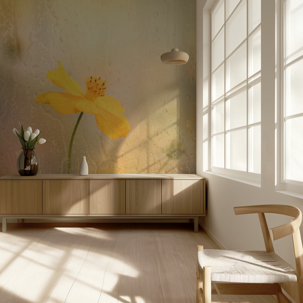 kosmos sateessa | Valokuvatapetit