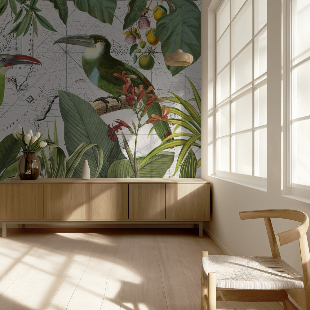 Viaje nostálgico de los loros 3 | Papel Pintado Fotográfico