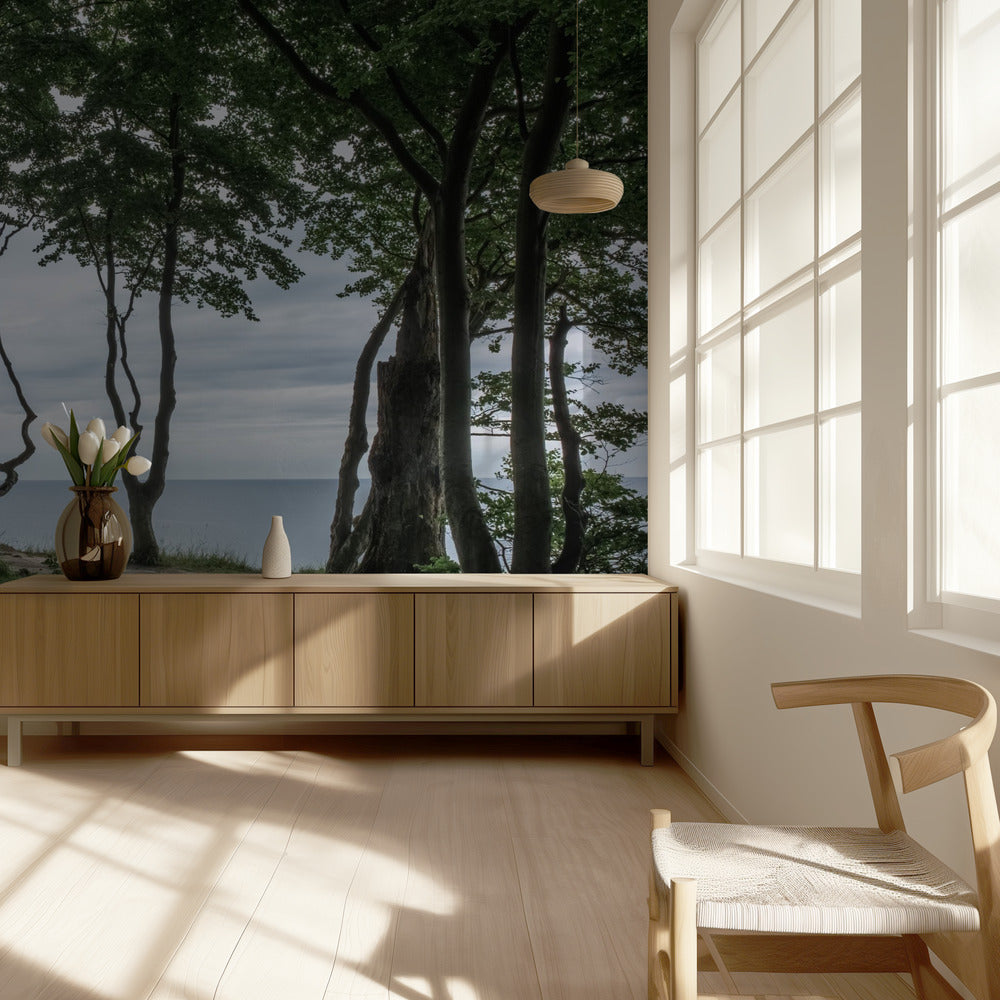 Metsä merellä 2 | Valokuvatapetit