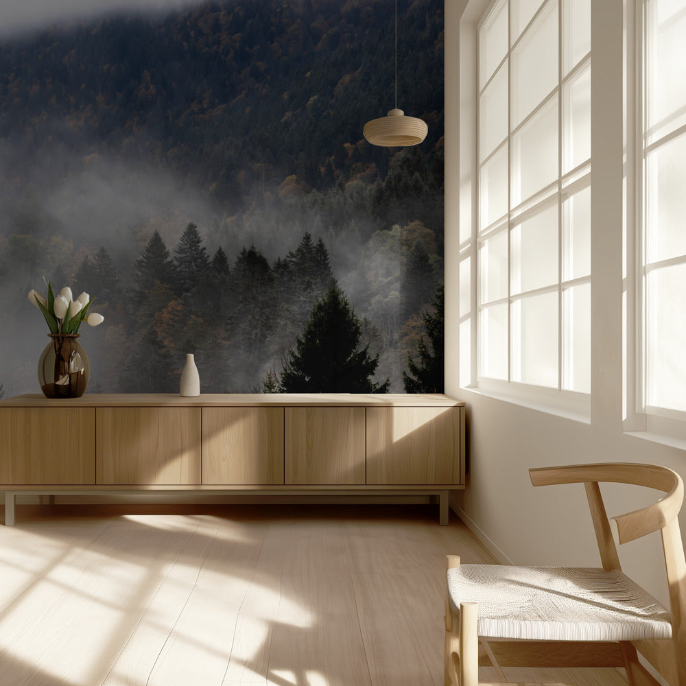 Sumuinen Metsä 9 | Valokuvatapetit