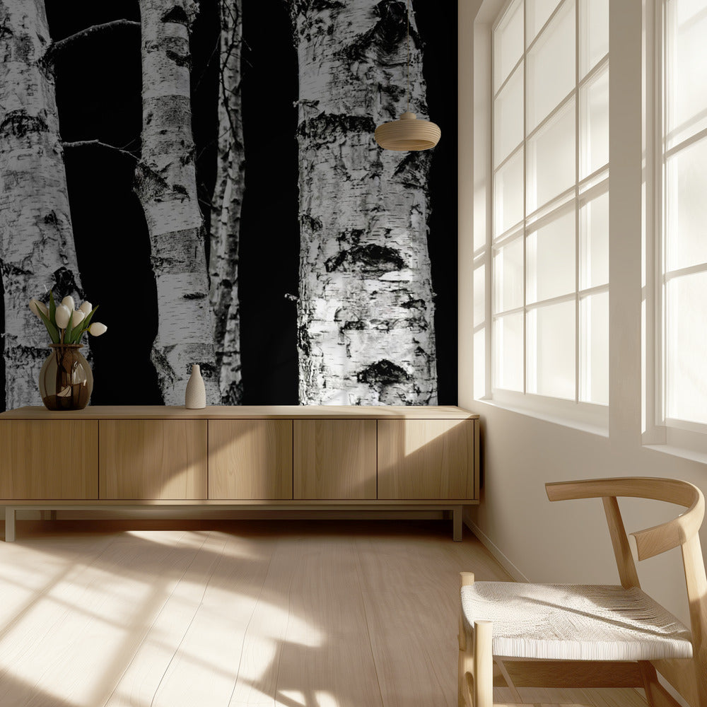 Birch Trees | Wallpaper