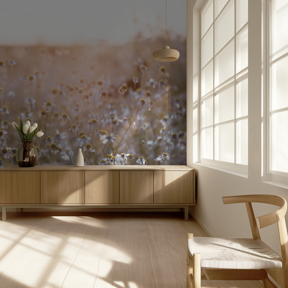 Mattina d'estate 7 | Carta da Parati Fotografica