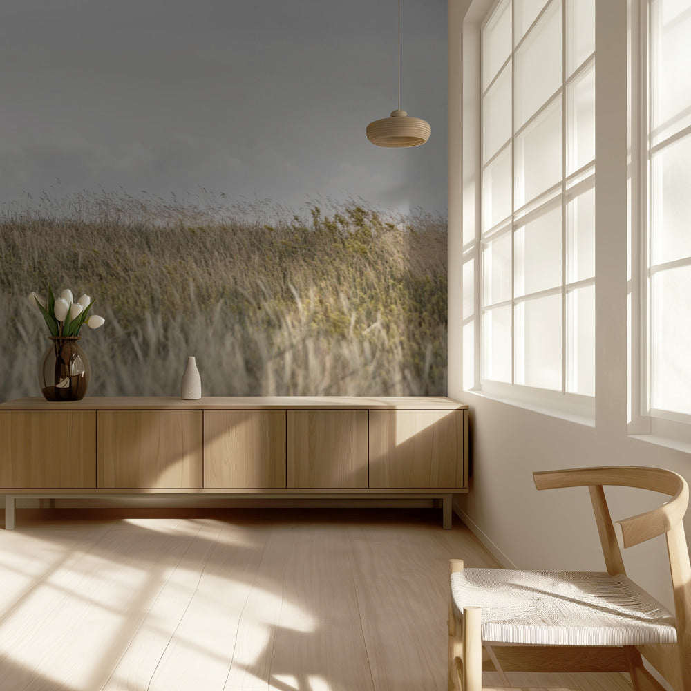 Dyynit ja pilvet 2 | Valokuvatapetit