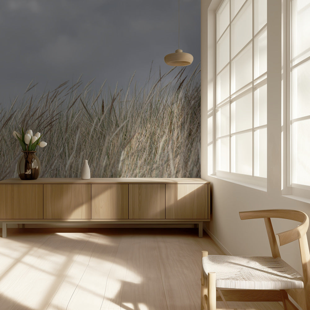 Dyynit ja pilvet | Valokuvatapetit