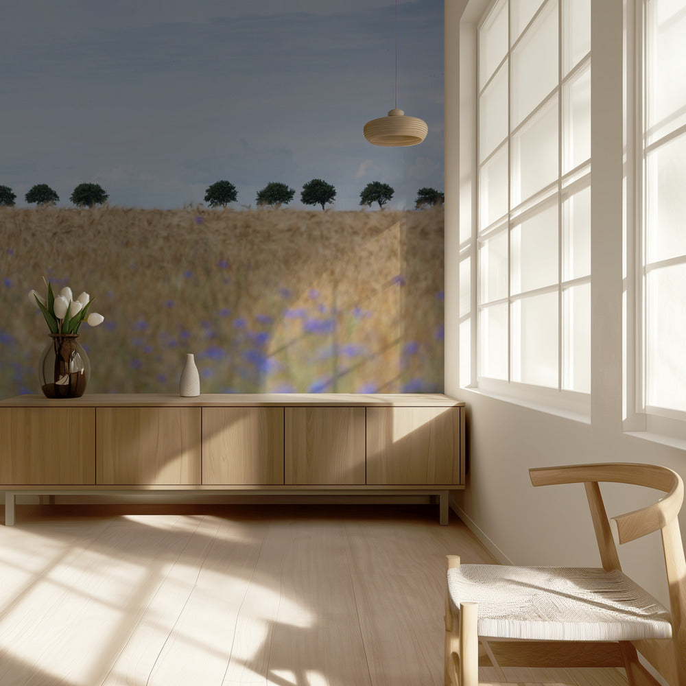 Pohjoismaisia hetkiä 4 | Valokuvatapetit