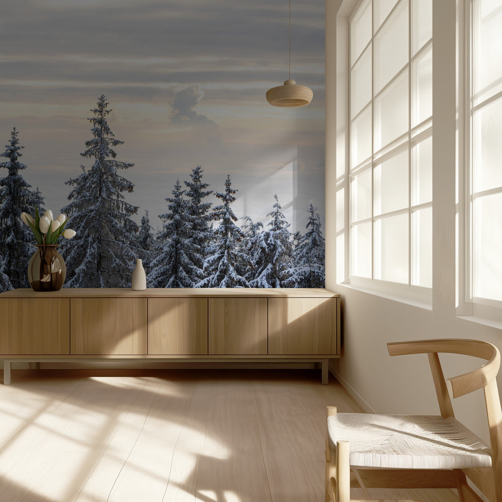 Lumen peittämät puut 8 | Valokuvatapetit