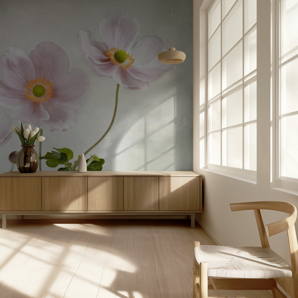 Anémonas | Papel Pintado Fotográfico
