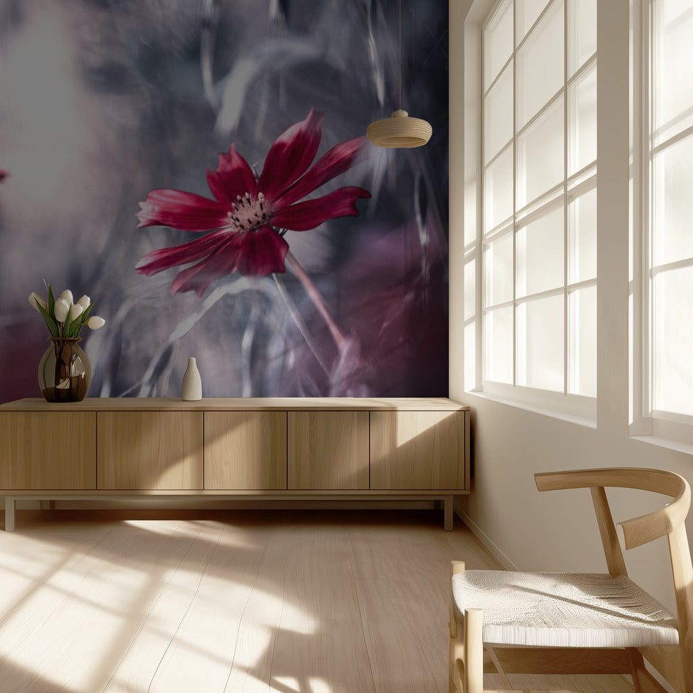 Juegos de seducción | Papel Pintado Fotográfico