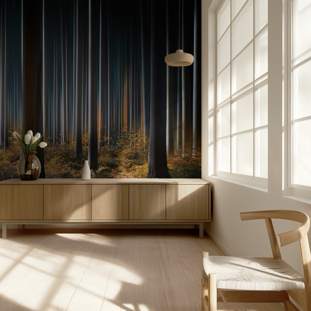 Mystisches Holz | Fototapeten