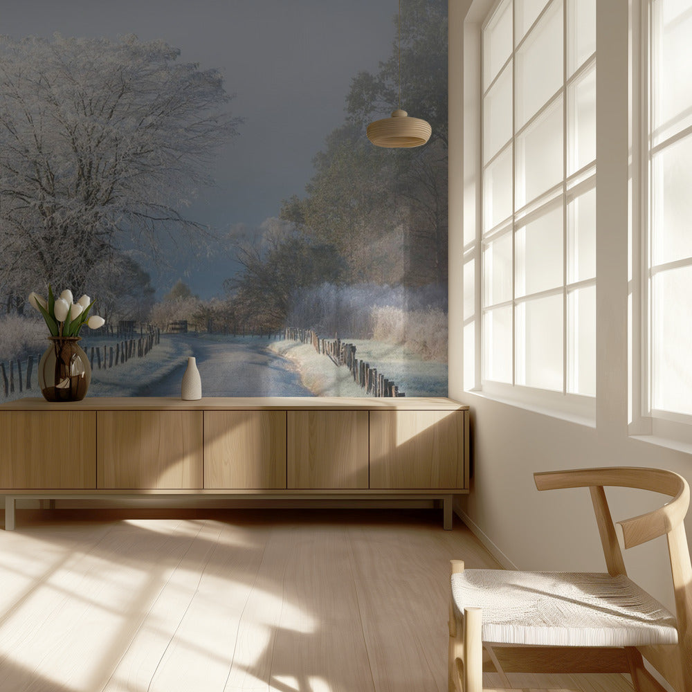 Pakkasinen aamu | Valokuvatapetit