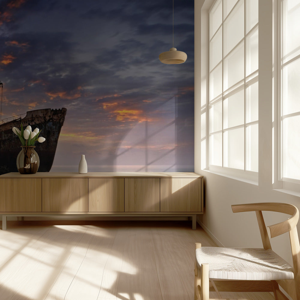 Pimeä matkaaja II | Valokuvatapetit