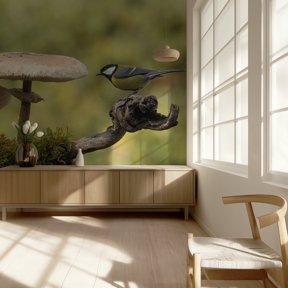 Minun pieni osa maailmaa | Valokuvatapetit