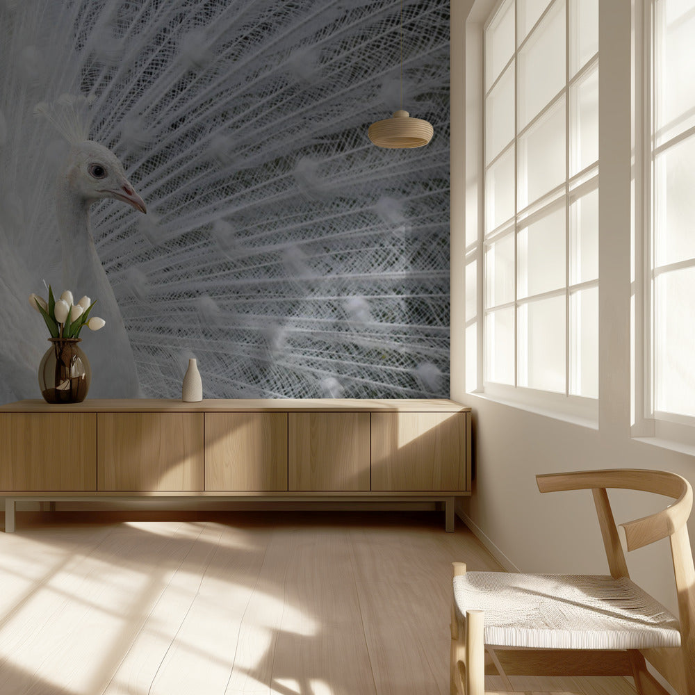 Yhtä valkoinen kuin lumi | Valokuvatapetit