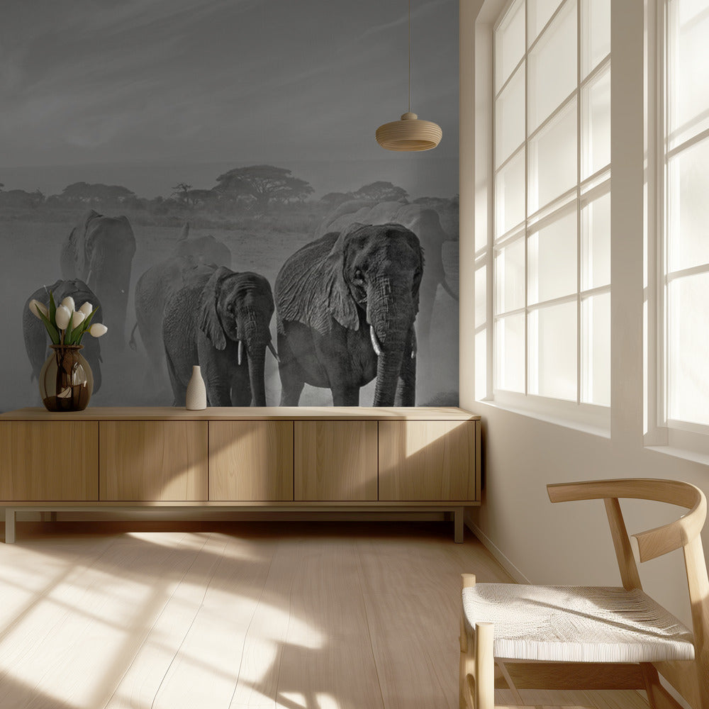 Tunnejärjestys | Valokuvatapetit