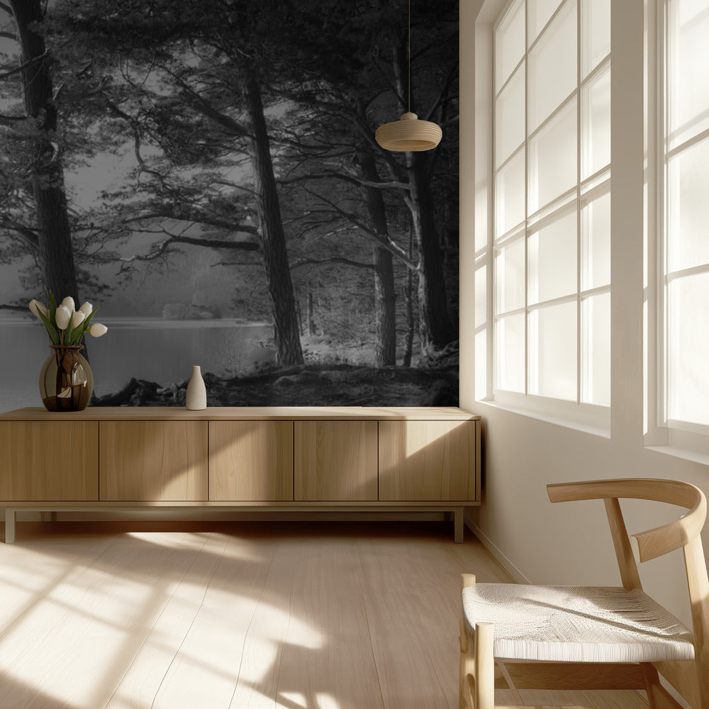 Loch an Eilean | Fototapeten