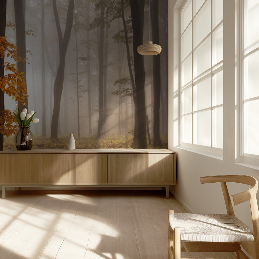 Nella luce di novembre | Carta da Parati Fotografica