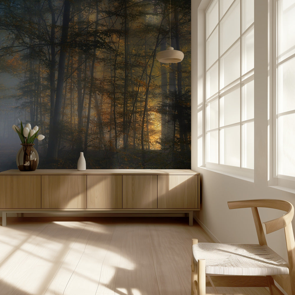 sinfonia autunnale | Carta da Parati Fotografica