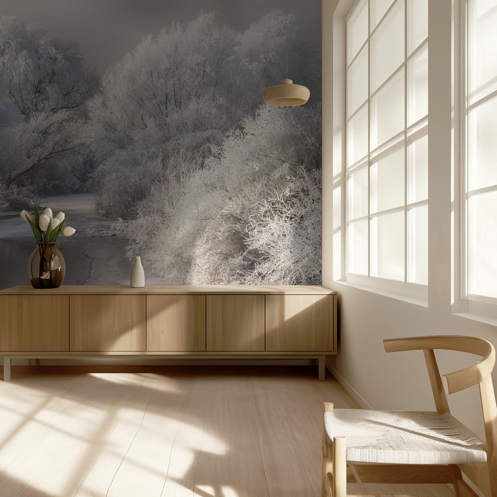 Talvilaulu | Valokuvatapetit