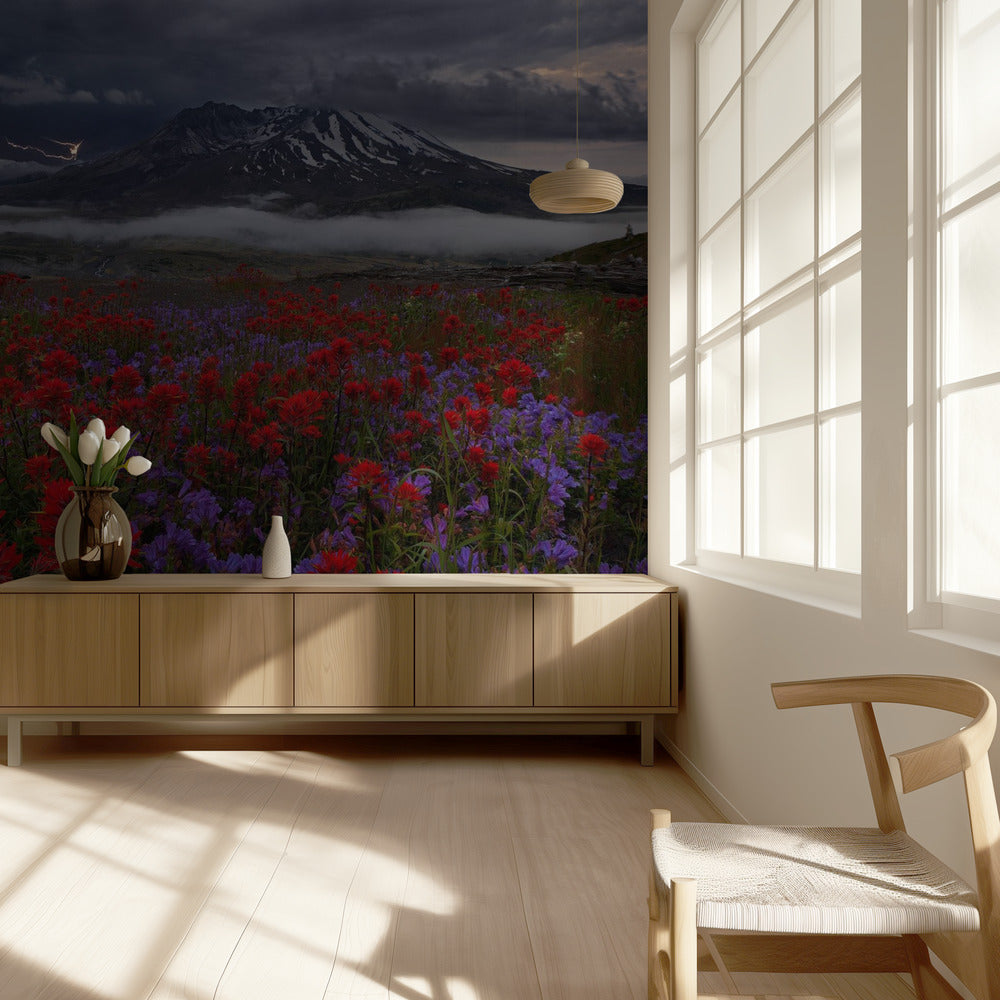 Apokalypsi nyt | Valokuvatapetit