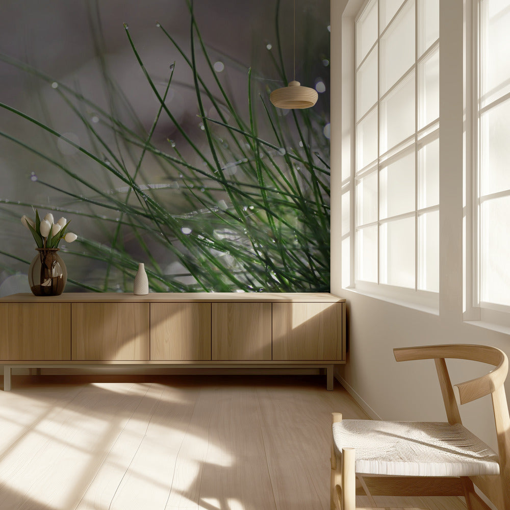 Välitön laskeutuminen | Valokuvatapetit