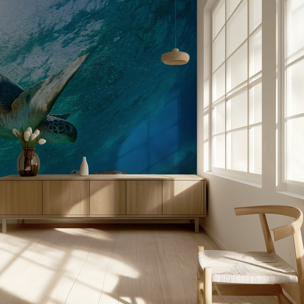 Kontakt | Fototapeten