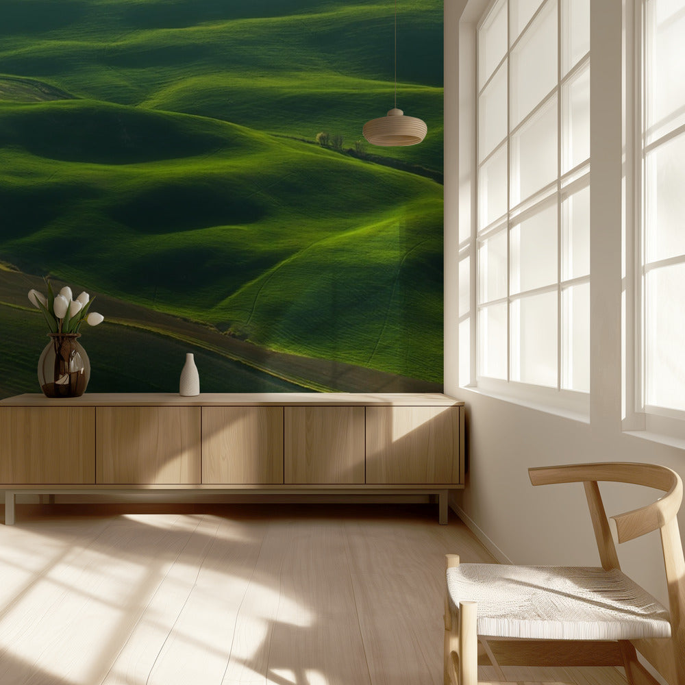 Eiche... | Fototapeten