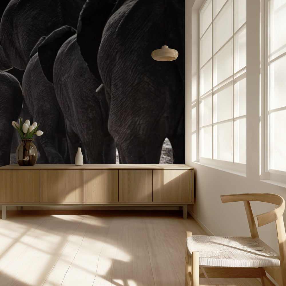 Kävely kotiin | Valokuvatapetit