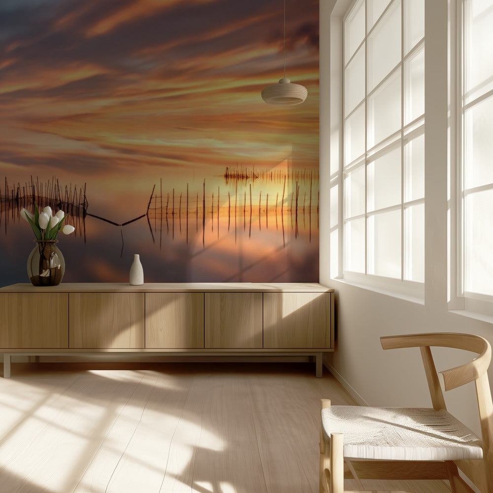 Kalaverkot | Valokuvatapetit