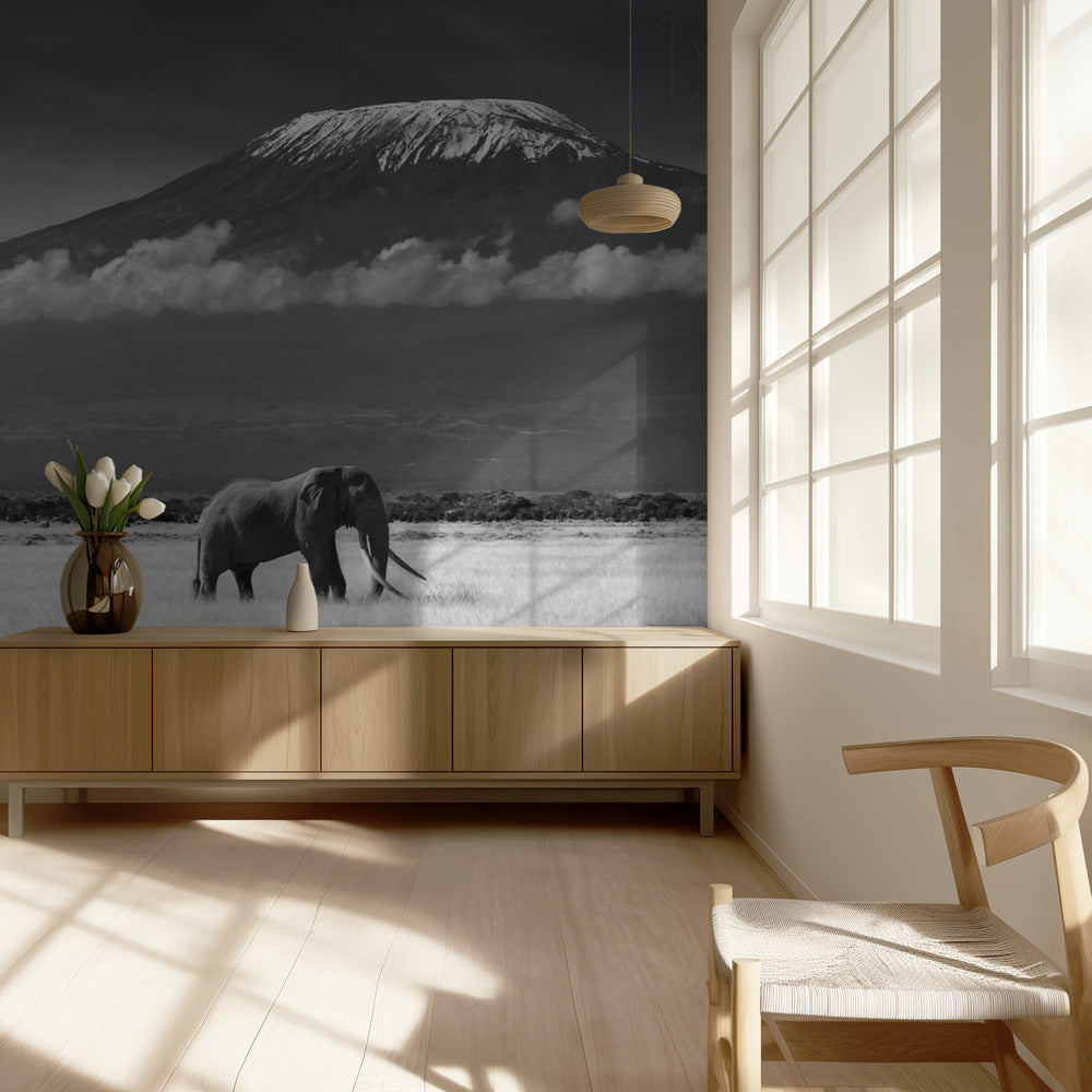 Kadonneet värit II | Valokuvatapetit