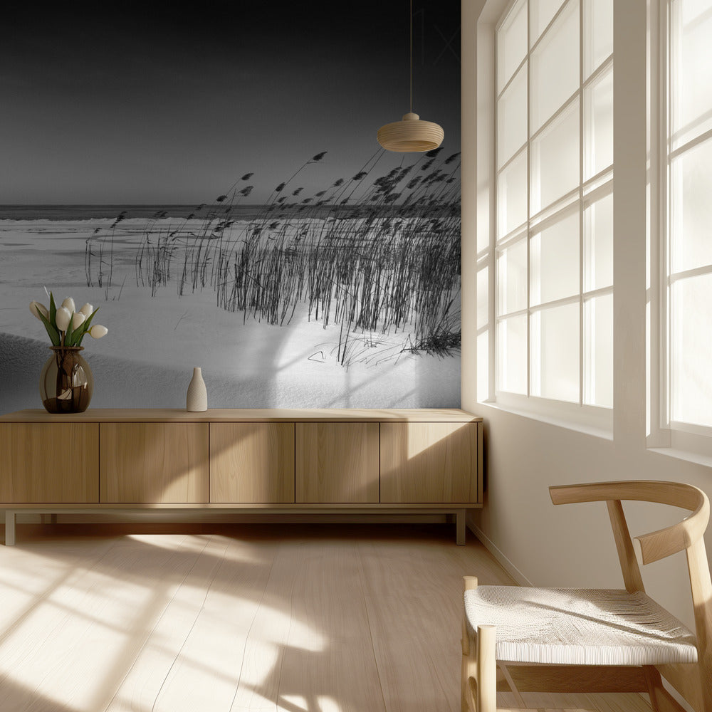 Orkesteri | Valokuvatapetit