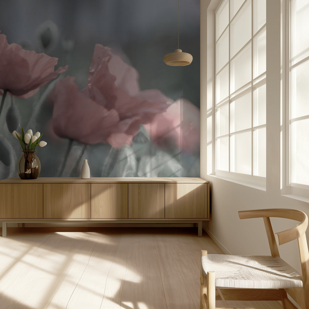 Softly | Wallpaper