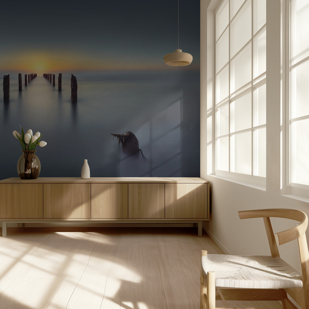 Viimeinen valo | Valokuvatapetit