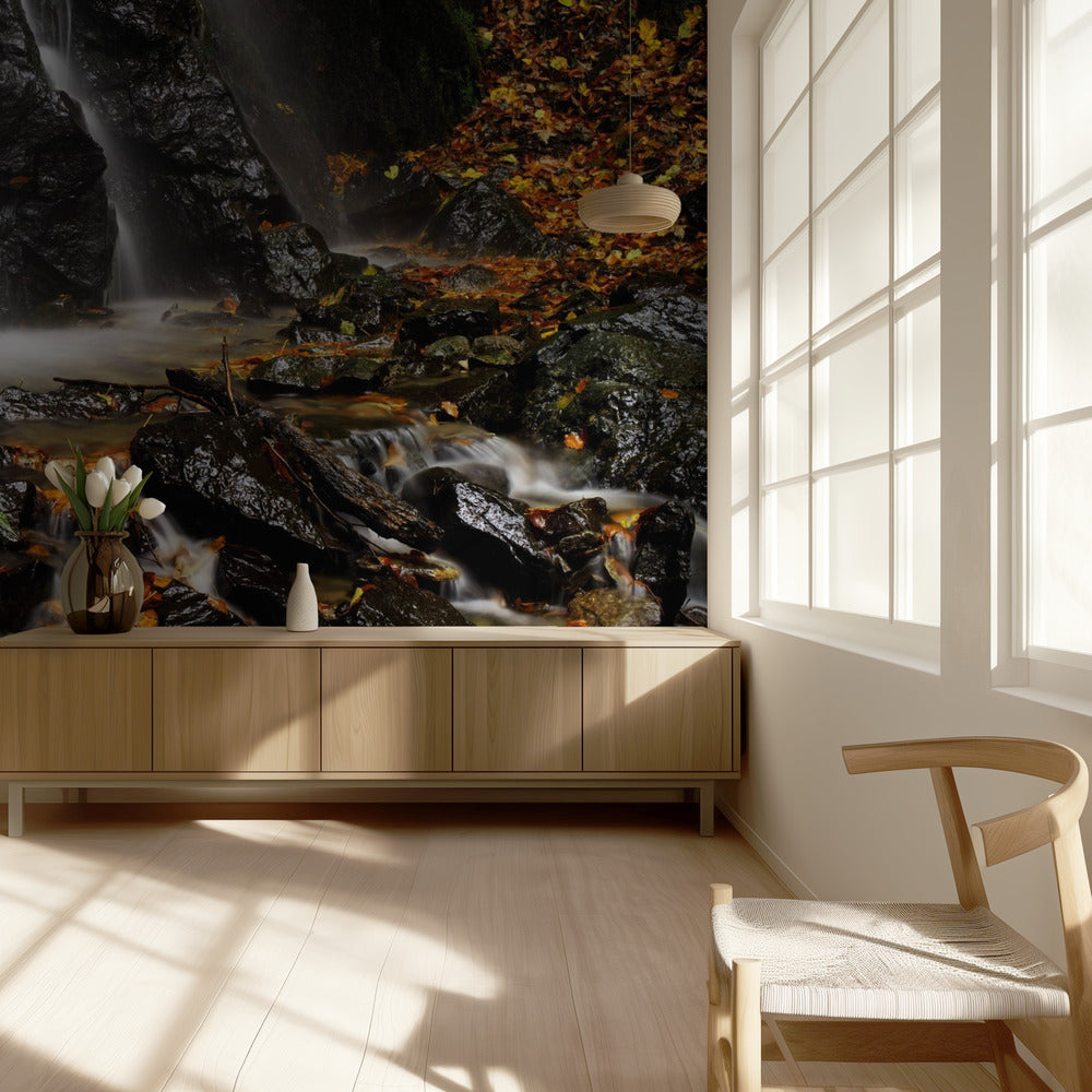 Hehkuva | Valokuvatapetit