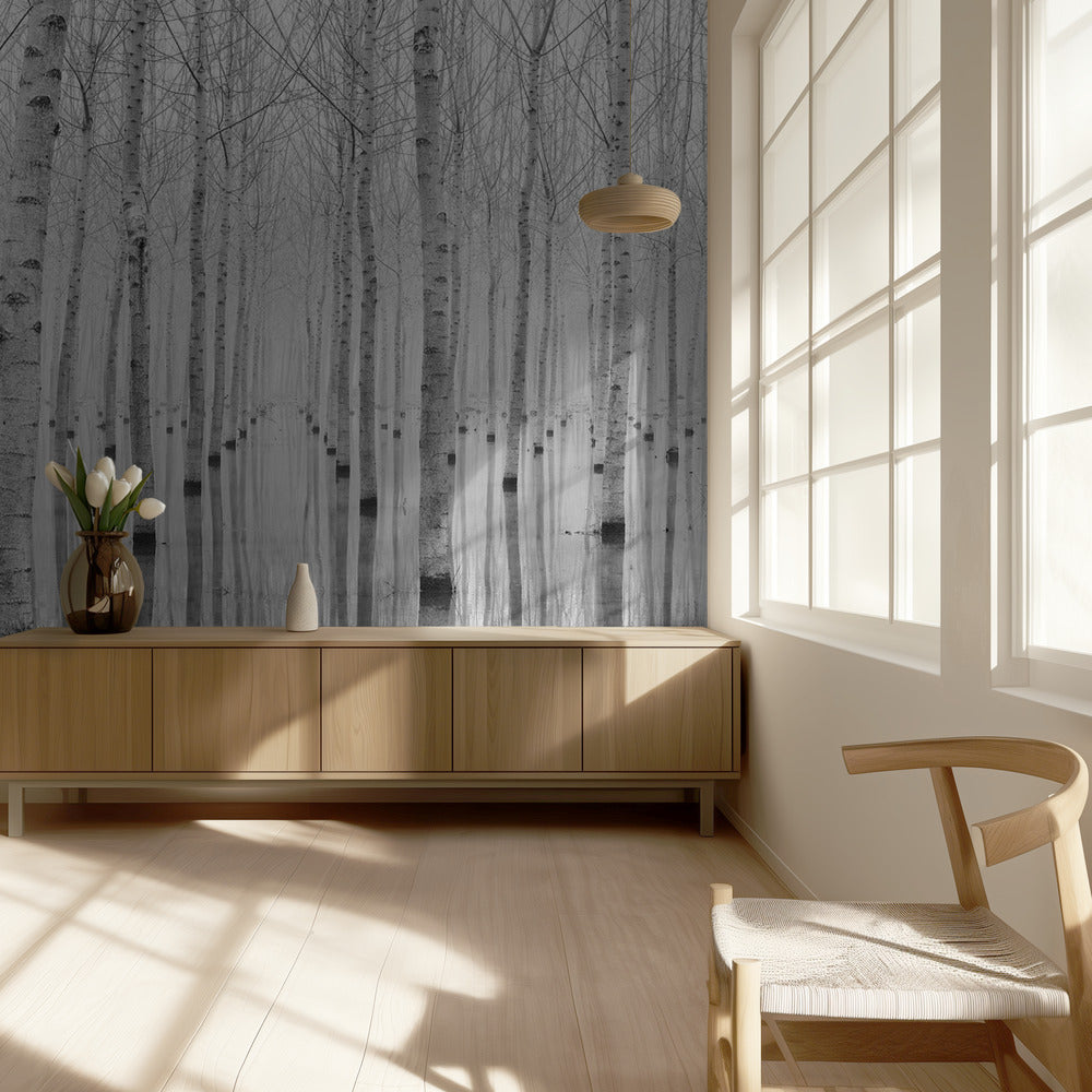 Listopad 2014 | Fototapeta