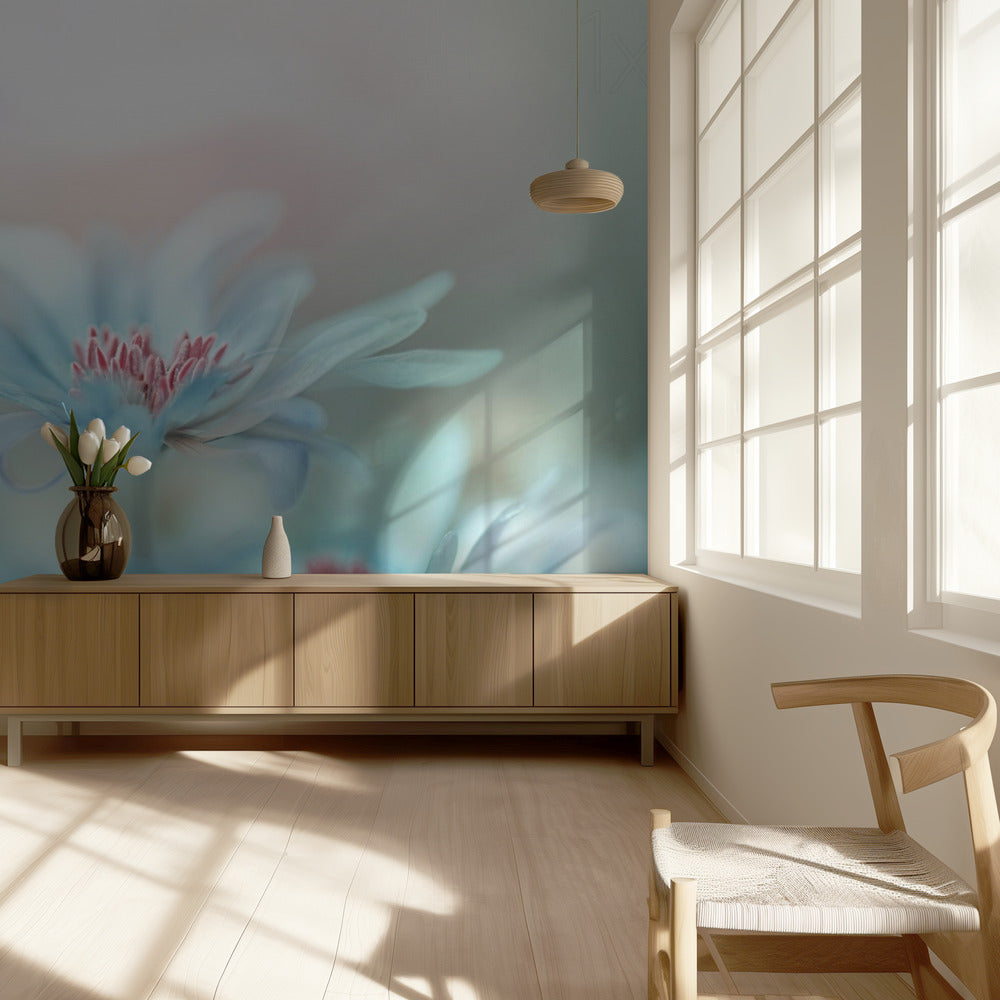 Fantasia | Valokuvatapetit