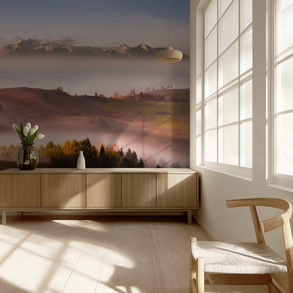 Vain hiljaisuus | Valokuvatapetit