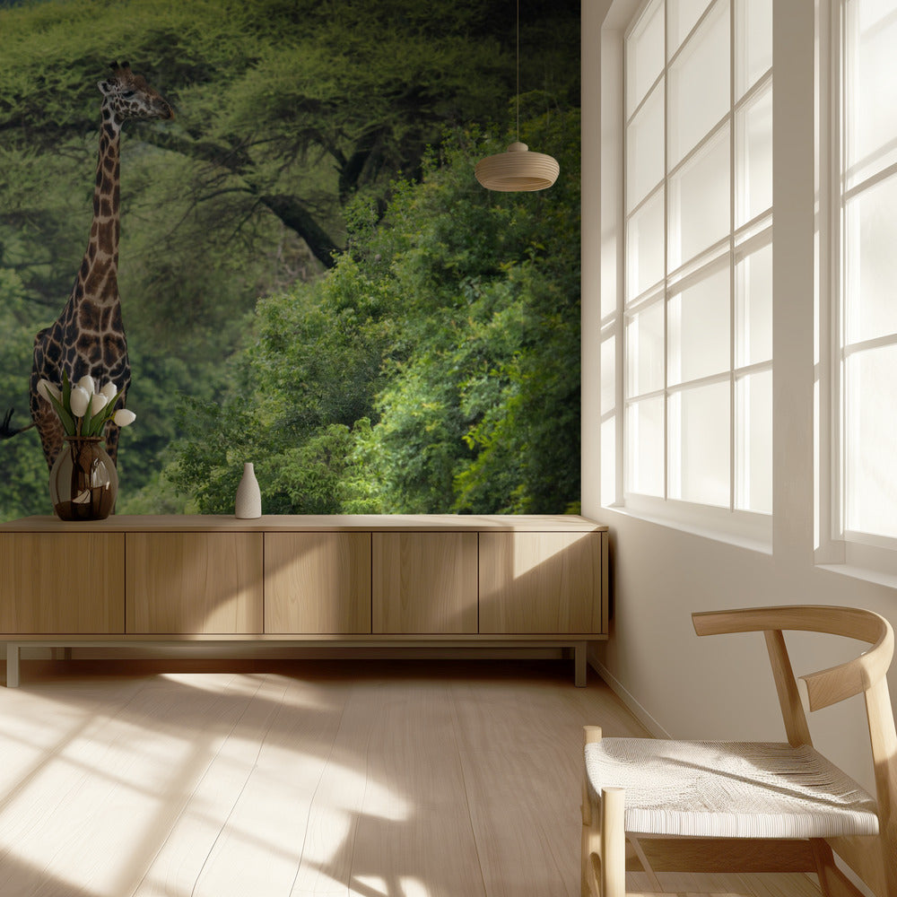 odottamaton tapaaminen | Valokuvatapetit