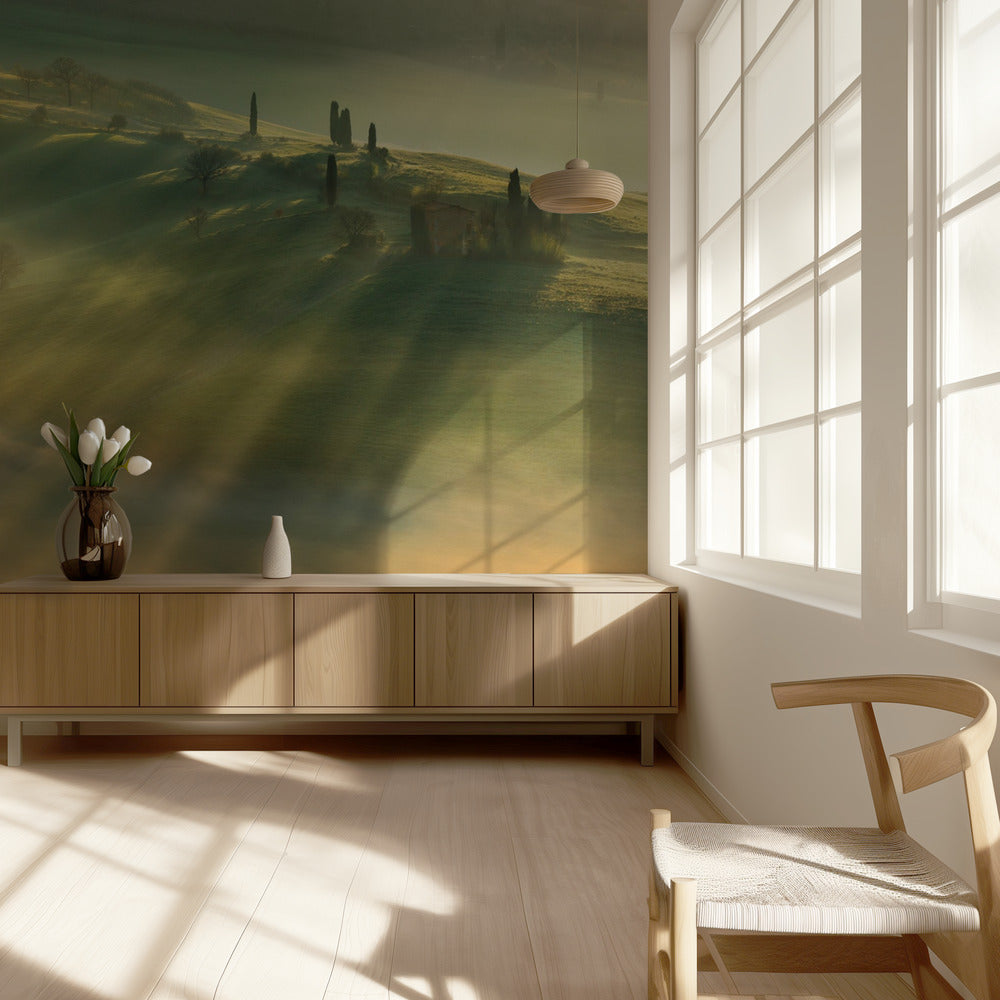 Mgła... | Fototapeta