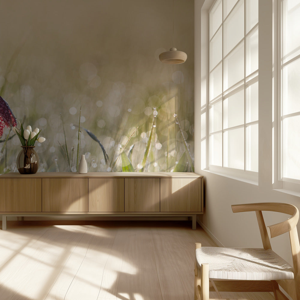 Rocío de la mañana | Papel Pintado Fotográfico