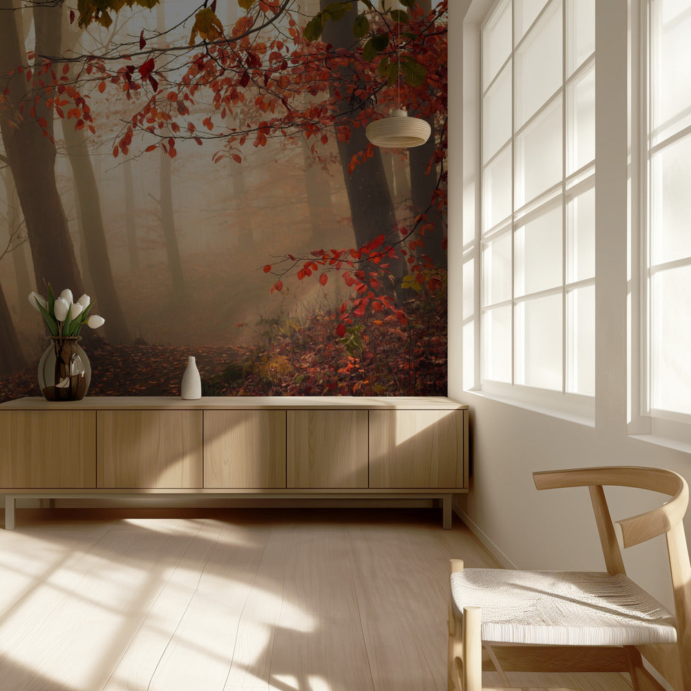 Kohti valoa. Valokuvatapetit