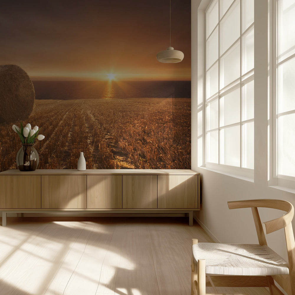 Récolte d'or | Papier Peint Photo