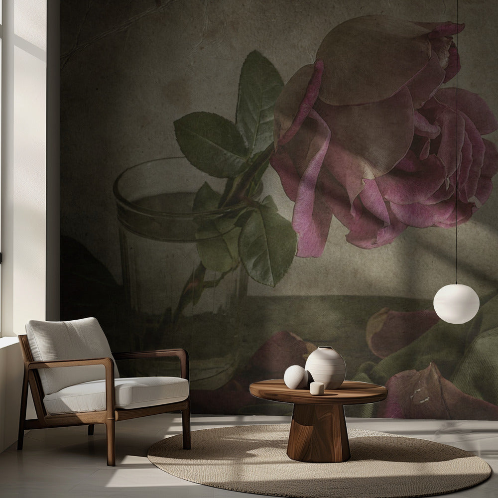 Lágrima de rosa | Papel Pintado Fotográfico