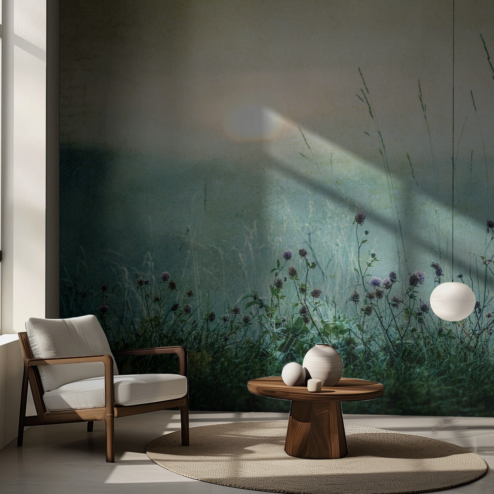 Wschód słońca jesienią | Fototapeta