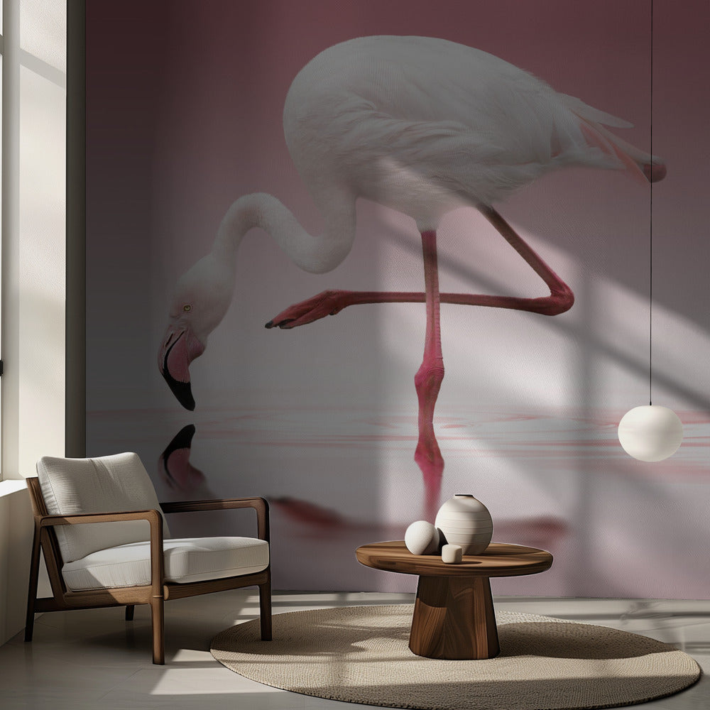 Flamenco | Papel Pintado Fotográfico