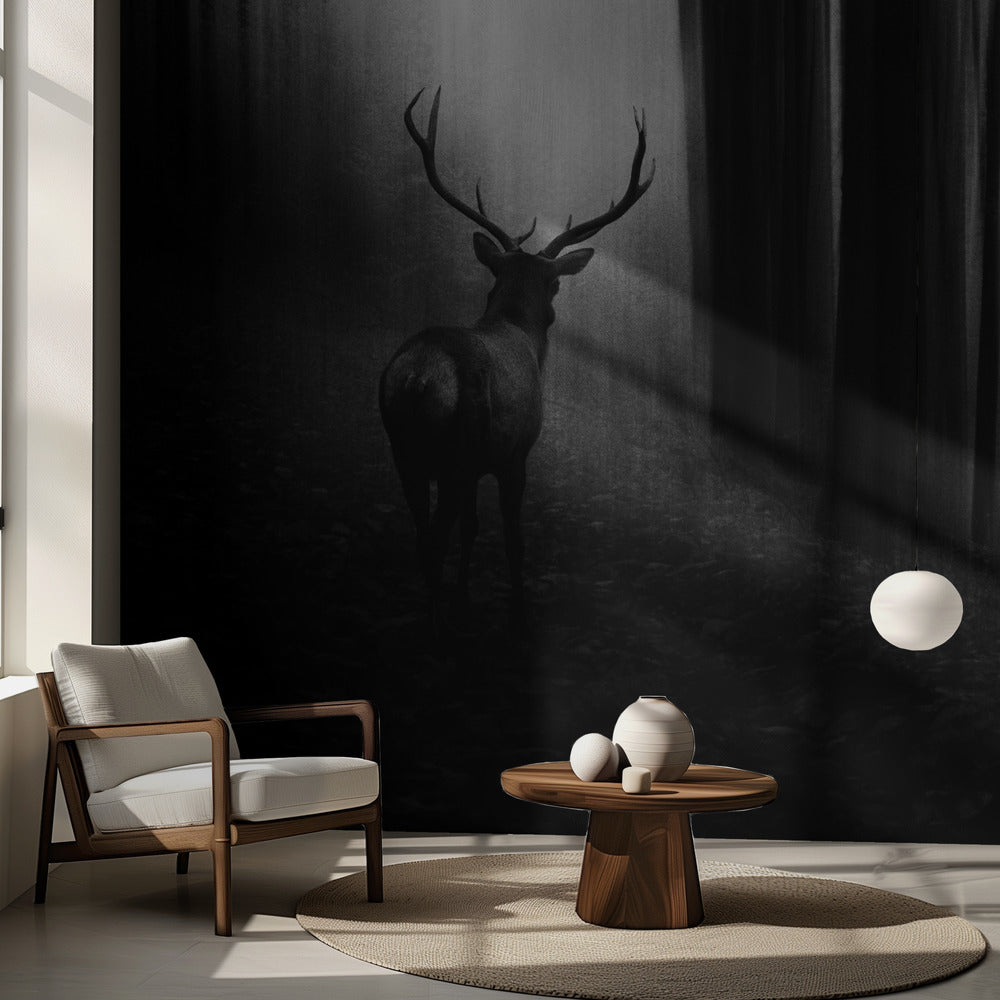 Polttarit | Valokuvatapetit